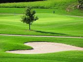 picture of golf  - Golf course - JPG 