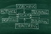 picture of leadership  - Team building and coaching flow chart on chalkboard - JPG 