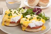 image of english  - Eggs Benedict - JPG 