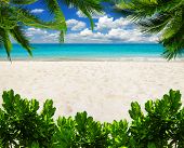 stock photo of beach  - beautiful beach and tropical sea - JPG 