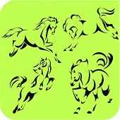 stock photo of horse  - Light Horses  - JPG 