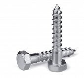 stock photo of lag  - Two stainless steel lag bolts isolated on white - JPG 