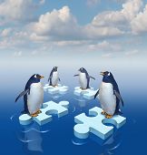 pic of merge  - Coming together with common purpose to assemble a team partnership to form a strong group with four penguins merging floating chunks of ice in the shape of puzzle pieces as insurance - JPG 