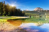 stock photo of world  - Black lake in Durmitor national park in Montenegro - JPG 