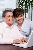 foto of young adult  - Portrait of young girl and her grandmother looking at laptop screen during work and smiling - JPG 