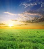 stock photo of sunset  - green field sunset sky grass landscapes meadow summer sun sunrise clouds - JPG 