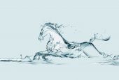stock photo of horse  - A water horse made of water galloping in water - JPG 