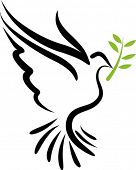 pic of peace  - A free flying vector white dove symbol - JPG 