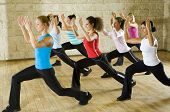 picture of fitness  - A group of women exercising in the fitness club - JPG 