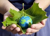 image of earth  - person holding a leaf with small earth - JPG 