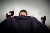 foto of cover  - Boy hiding in bed under the covers - JPG 