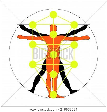 Poster: The Kabbalah Tree