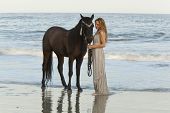 image of horse  - woman in formal dress in ocean with horse - JPG 