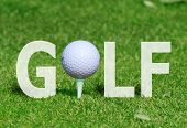 stock photo of golf  - Golf ball on tee in the word  - JPG 