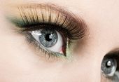 foto of iris  - Fashion eye - JPG 