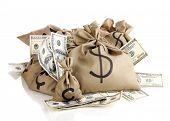 foto of money  - Bags with money isolated on white - JPG 
