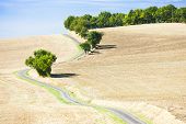 picture of france  - field with a road - JPG 