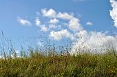 foto of blue sky  - image of a beautiful cloudscape in summertime - JPG 