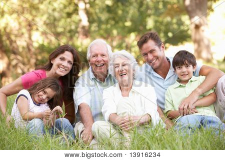 Picture or Photo of Portrait Of Extended Family Group In Park