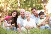 picture of group  - Portrait Of Extended Family Group In Park - JPG 