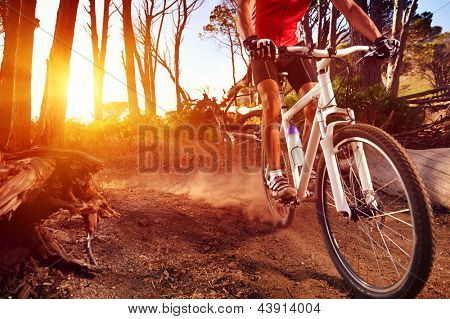 Picture or Photo of Mountain Bike cyclist riding single track at sunrise healthy lifestyle active athlete doing sport