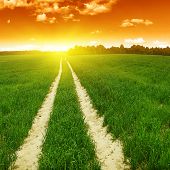 image of sunset  - Rural road in the field and sunset - JPG 