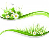 stock photo of nature  - Natural floral design - JPG 