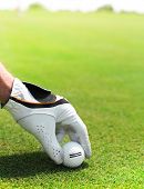 picture of golf  - Golf player man holding golf ball in his hand - JPG 