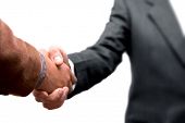 stock photo of handshake  - Business handshake on white background - JPG 