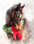 image of horse  - Dreamy Christmas image of a dark bay Arabian horse wearing a wreath and a bow - JPG 