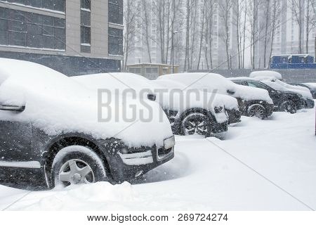Poster: Vehicles Covered With Snow In