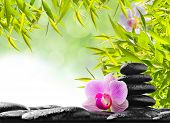 picture of zen  - spa concept with zen stones and  orchid - JPG 