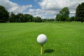 picture of golf  - Golf ball on tee in a beautiful golf club - JPG 