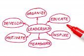 picture of leadership  - Leadership flow chart written with red marker on white board - JPG 
