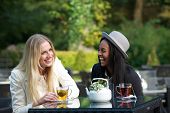 picture of multicultural  - multicultural friends drinking and enjoying their tea at an outdoor cafe in a park - JPG 